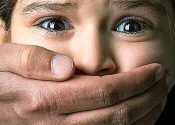 pedofilia e crimine minutouno 1862585