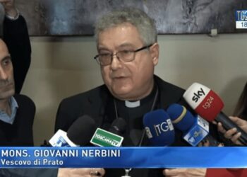 nerbini 2
